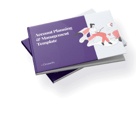 Account Planning & Management Template